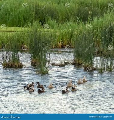 如何代理熱血傳奇手游 互聯網游戲服務工作室的完整指南