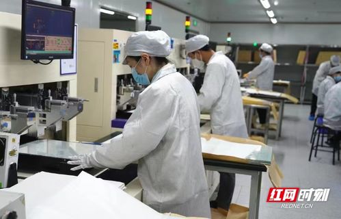 電子工匠展風采，勞務品牌促發展——冷水灘區以專業勞務品牌助力就業與產業雙贏