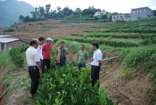 云南省農(nóng)業(yè)廳 云南農(nóng)業(yè)信息網(wǎng)