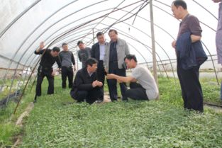 我校科技工作者上門(mén)服務(wù)現(xiàn)代農(nóng)業(yè)企業(yè)