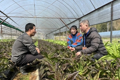 鏡頭|田間地頭農事忙 下沉監(jiān)督護春耕
