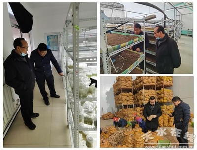 國家馬鈴薯產業(yè)技術體系天水綜合試驗站開展對接服務企業(yè)活動(圖)