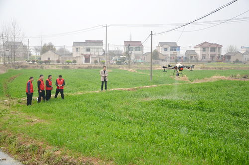 省農(nóng)機推廣站來我市開展省 市 縣農(nóng)機科技志愿服務(wù)大聯(lián)動