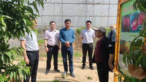 平頂山市科技局實地考察市級星創(chuàng)天地建設(shè)情況