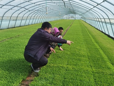 肇源農場ldquo;保姆式&rdquo;服務助力春耕備耕
