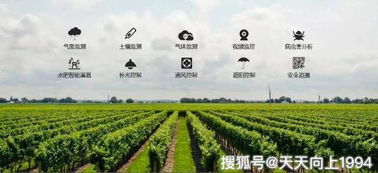 從碼鏈體系看智慧農業的發展