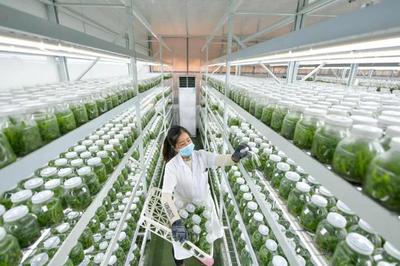 代表委員熱議科技創新:以高水平科技自立自強賦能農業農村高質量發展