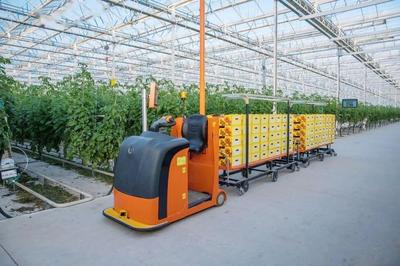 新基建數字化植物工廠開辟農業新版圖!