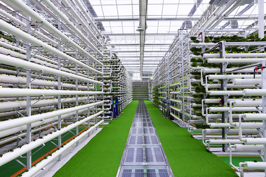 農(nóng)業(yè)高科技