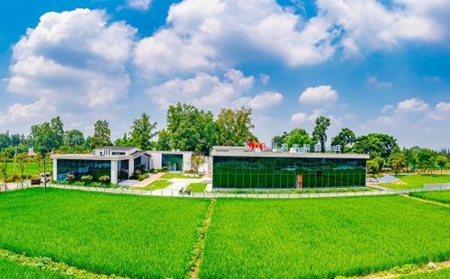 成都市溫江區高山村 科技綠動田野 和美鄉村繪新篇