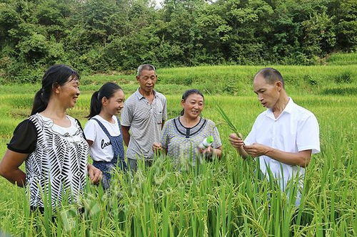 淄博人均gdp增長形勢好,農業科技化出力可不小