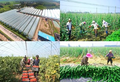 湖北領(lǐng)尚:插上科技翅膀 助力鄉(xiāng)村振興