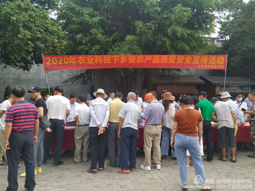 農(nóng)業(yè)科技下鄉(xiāng)暨農(nóng)產(chǎn)品質量安全宣傳黨員活動