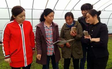 我校農(nóng)業(yè)科技創(chuàng)新服務團隊深入基層服務百姓