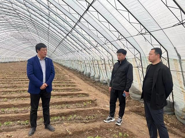 通遼國家農(nóng)業(yè)科技園區(qū)發(fā)展服務中心、通遼市科技成果轉化服務中心開展精準科技幫扶 助力現(xiàn)代農(nóng)業(yè)發(fā)展