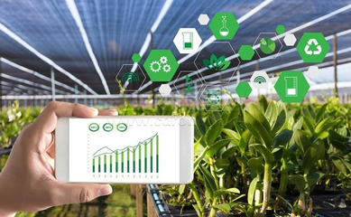 山地農業發展方向,智慧農業助力山地生態。