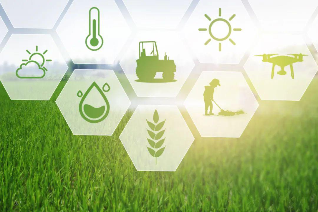 朗新科技為農業插上數字化的翅膀