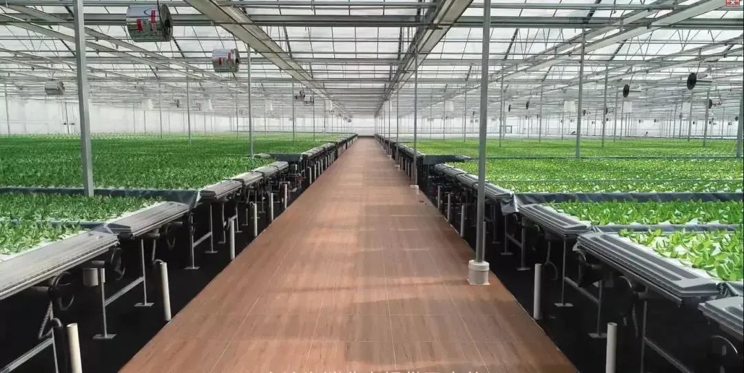 寶貝出村&mdash;&mdash;"城市之光"植物夢工廠高科技農業(yè)公益研學活動.