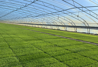 稼穡篤行 北大荒集團(tuán)黑龍江八五四農(nóng)場現(xiàn)代農(nóng)業(yè)科技服務(wù)中心實(shí)習(xí)感悟