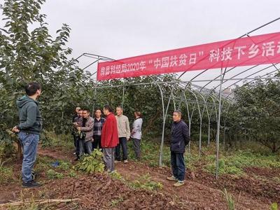 科技賦能鄉村振興——市科技局組織開展科技特派員下鄉服務活動