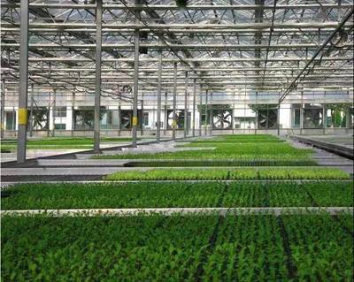 張兵書記調研湘家蕩農業數字化工廠，助力農民豐收節農業科技服務