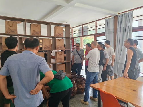 德宏州茶技站開展茶葉科技培訓，助力農(nóng)業(yè)科技服務(wù)